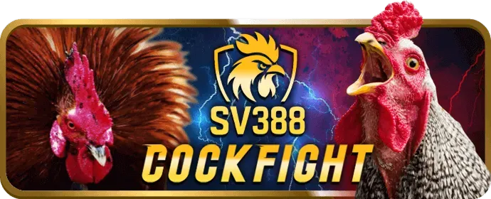 Bet11 Nổ Hũ